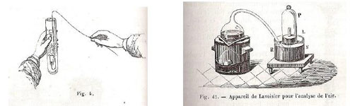 Figure 13 : Illustrations de Malaguti, 1863.