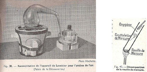 Figure 29 : Illustrations de Legreneur & Peyraud, 1954.