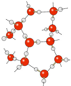 Figure 5 : Liaisons hydrogène entre molécules d’eau (notées en pointillés).