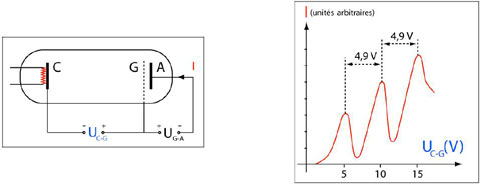 Figure 7 : L'expérience Franck et Hertz. Les électrons émis par la cathode C chauffée par le filament sont accélérés par la tension cathode grille UC-G, et sont susceptibles d’interagir avec les atomes de mercure présents dans le tube. Ils passent à travers la grille G, puis sont légèrement décélérés par la tension grille anode UG-A. Ceux qui ont une énergie suffisante arrivent sur l'anode A et donnent naissance au courant I, dont la valeur devrait augmenter avec la tension accélératrice. Pourtant, dès que cette dernière atteint des valeurs multiples de 4,9 V, on mesure des baisses significatives du courant : par des collisions inélastiques, les électrons transfèrent une partie de leur l'énergie aux atomes de mercure, qui passent dans le premier état excité, puis reviennent à l'état fondamental en émettant du rayonnement ultraviolet dont la fréquence est en accord avec la théorie de Bohr. (© Ilarion Pavel)