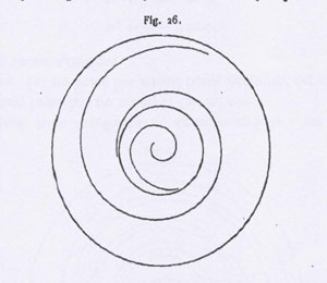 Figure 7 : Exemple de cycle limite de Poincaré [1882, p. 278]