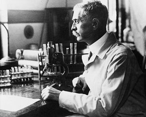 Figure 8 : Landsteiner dans son laboratoire de l’institut Rockefeller, à 62 ans, à l’époque du prix Nobel (c’est dans ce même environnement qu’il apparaît dans le billet de 1000 shillings, Figure 1).