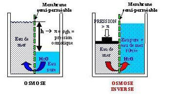 Figure 9 : Dessalement de l’eau de mer par osmose inverse (image CultureSciences Chimie, Eduscol, MEN)