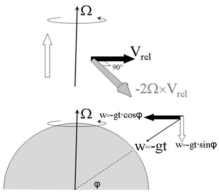 Figure 10: The velocity of a falling body –wg can be split up into one component perpendicular to the Earth’s axis, another parallel to it. The first will be fully deflected, the second not.