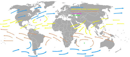 Figure 1 : Vents dominants à la surface terrestre. Vents d’ouest, en bleu, au nord du tropique du Cancer et au sud du tropique du Capricorne. Vents d’est (alizés), sous les tropiques : de nord-est (en jaune) dans l’hémisphère nord, de sud-est (en bistre) dans l’hémisphère sud (image WikiCommons auteur KPDV).
